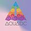 Image of Asian and Pacific Islander Queers United for Action - AQUA DC
